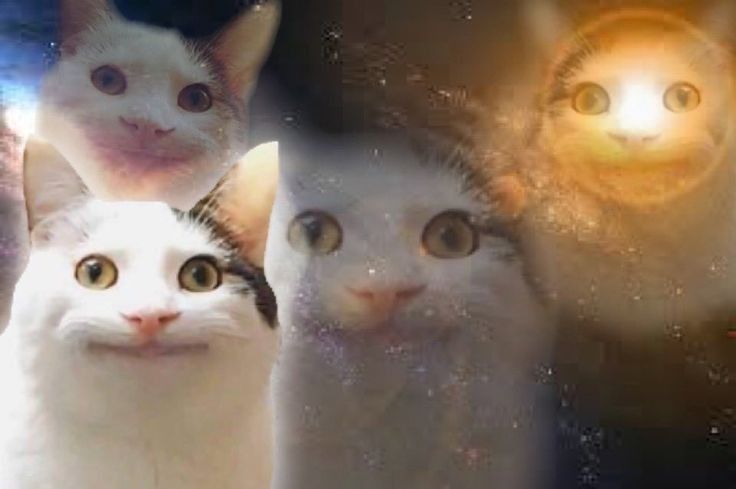 bokbokbok