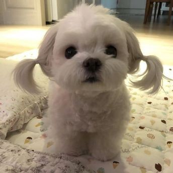 Jisooxxw