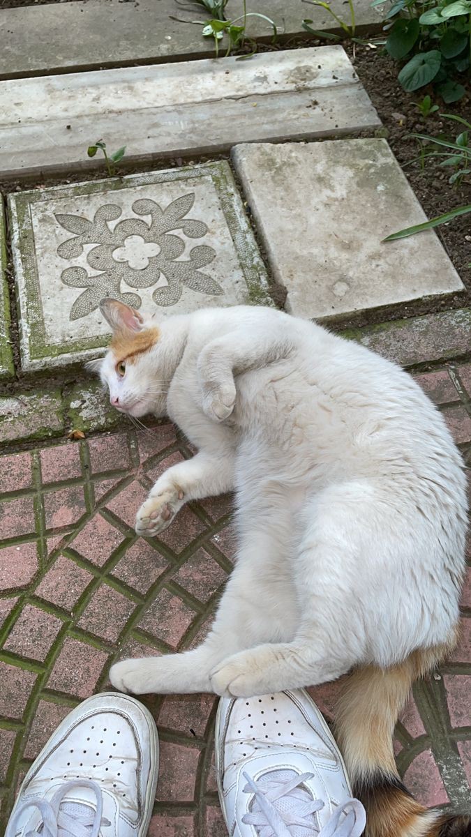 Ecrin Uğuz