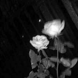 ~Mini_S.~