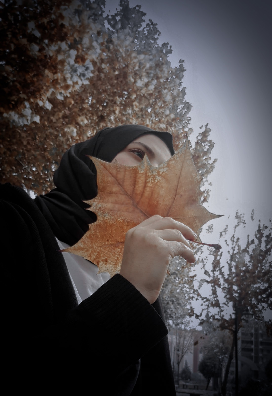 Roza