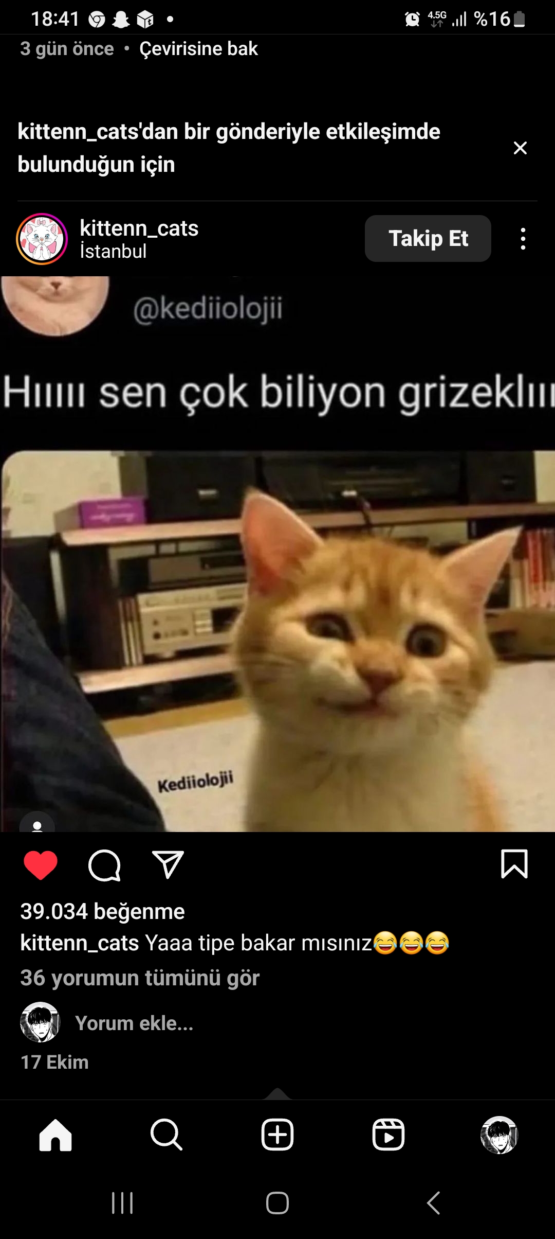 iremnur Meriçli