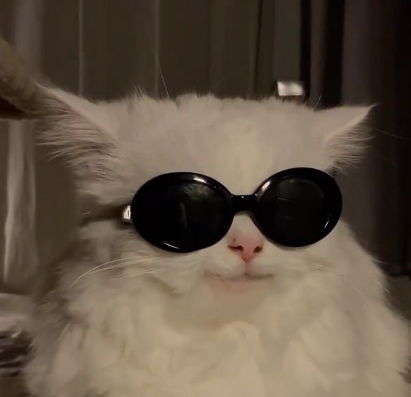 Muzlu_Muffin
