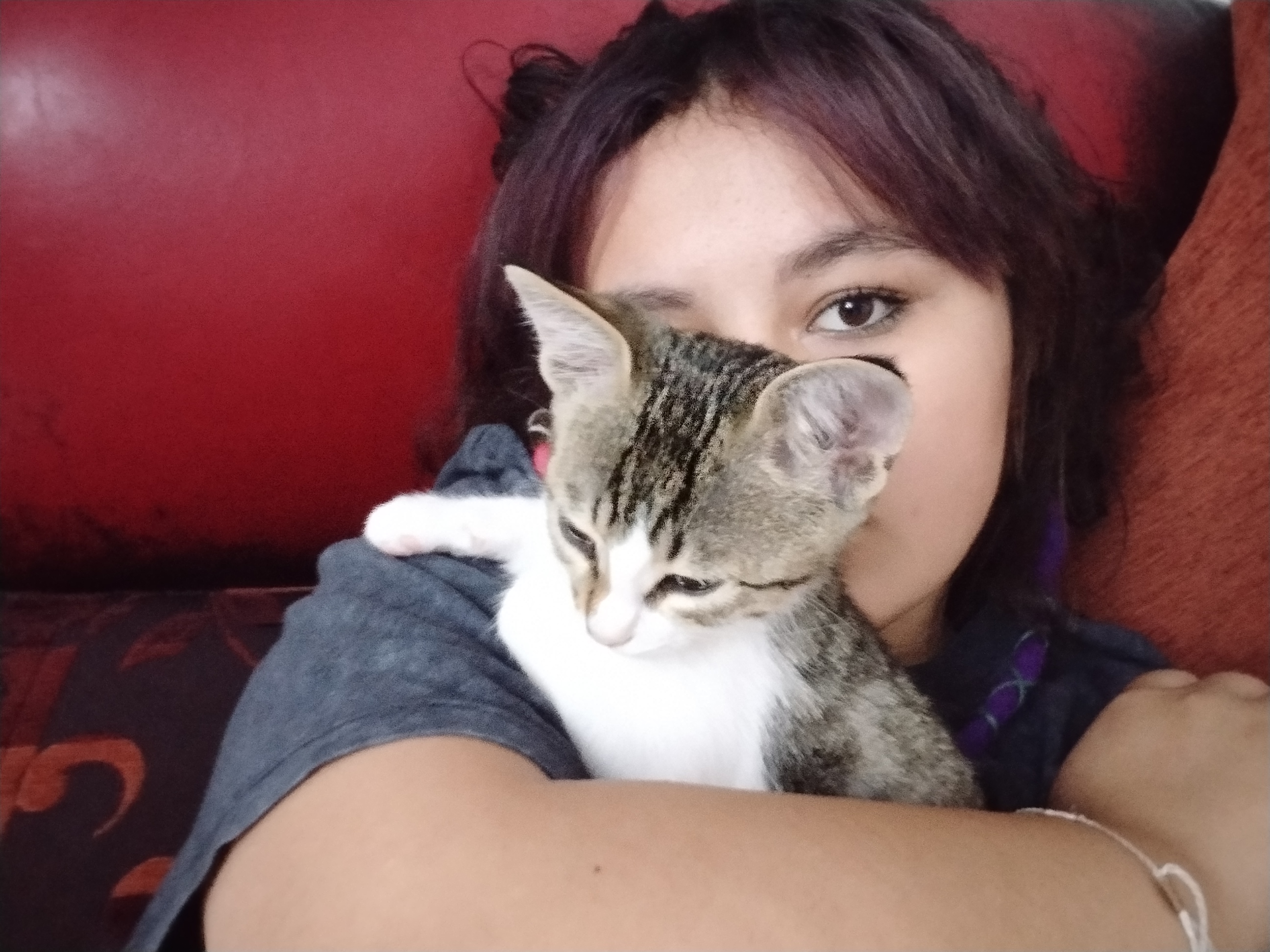ceylin irem çiğdem