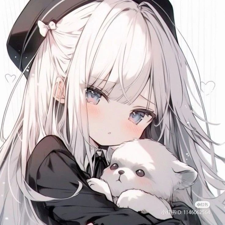Nova-San