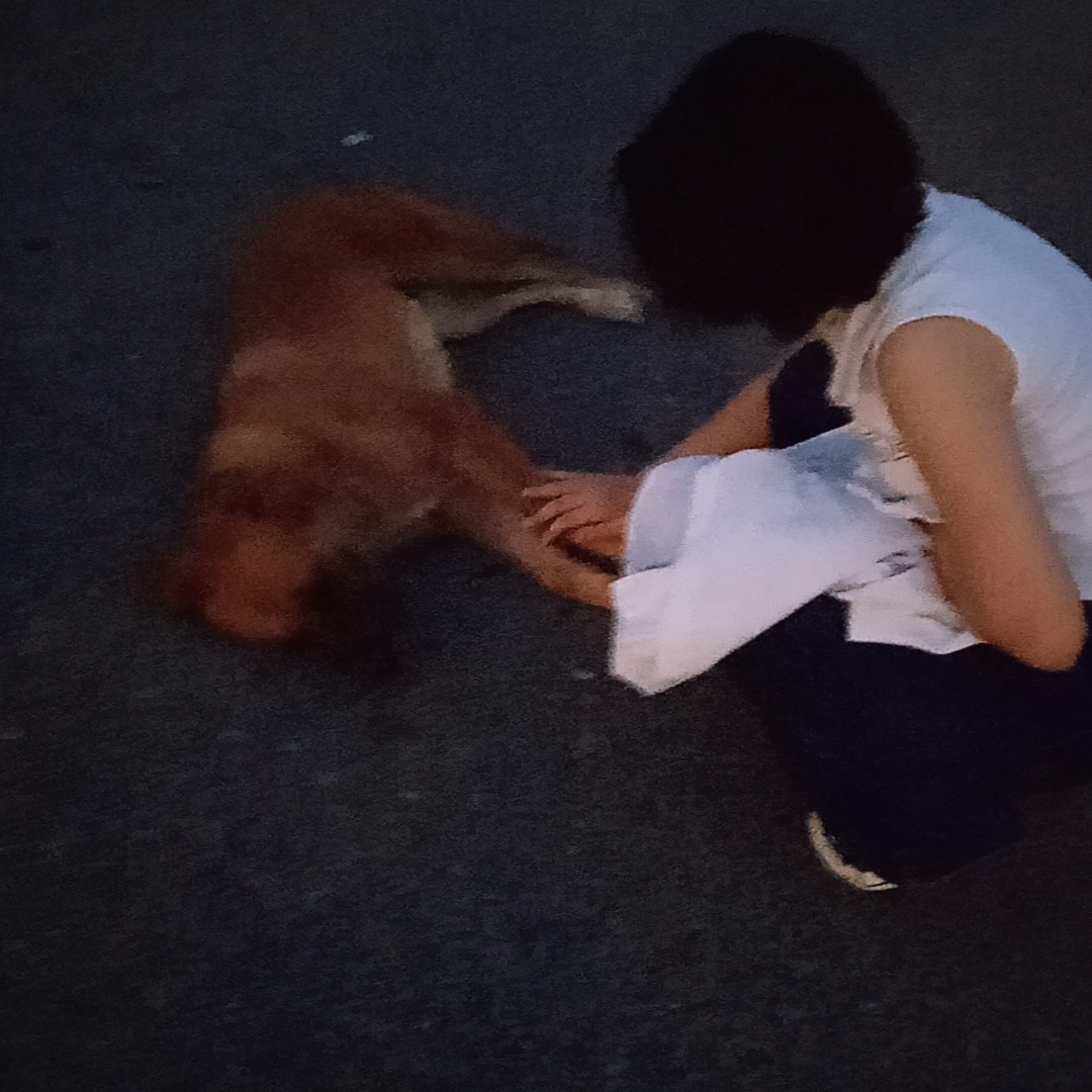 Rüya