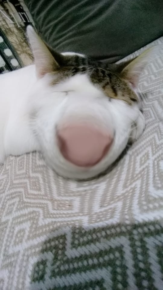♡