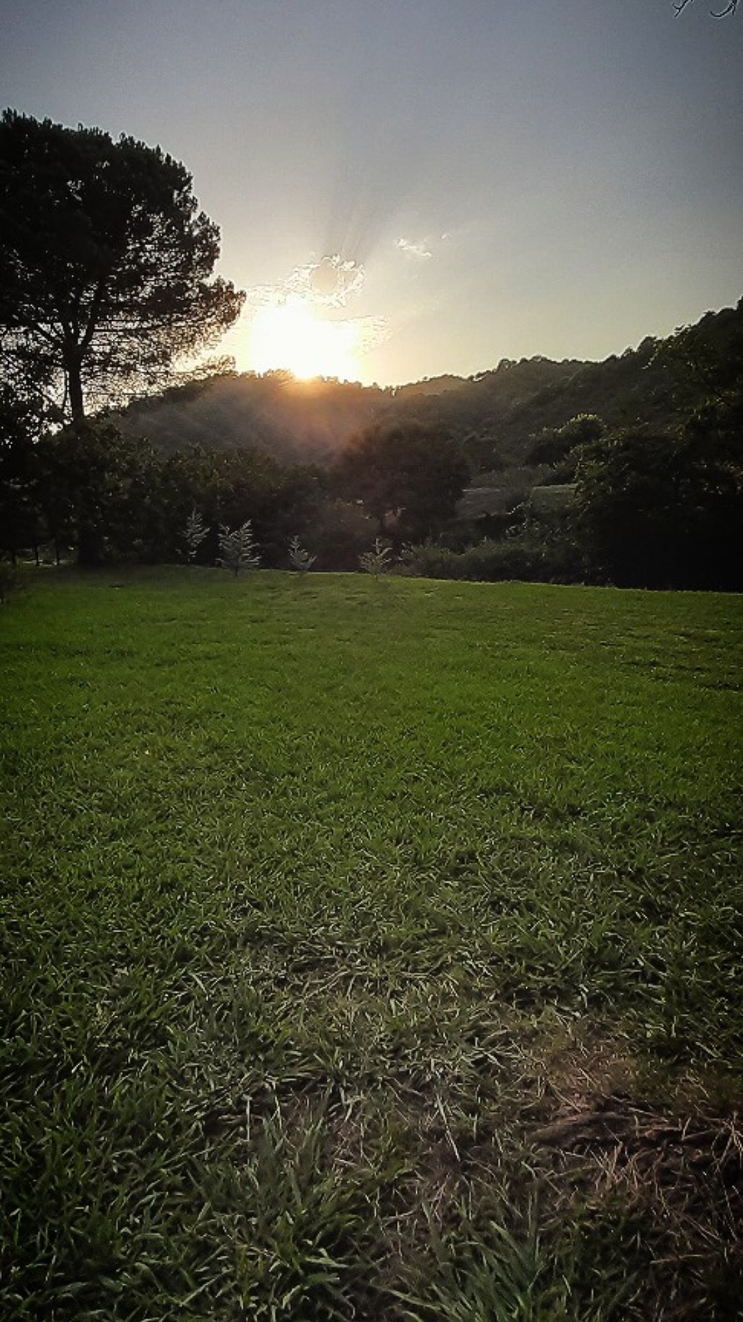 Yağmur