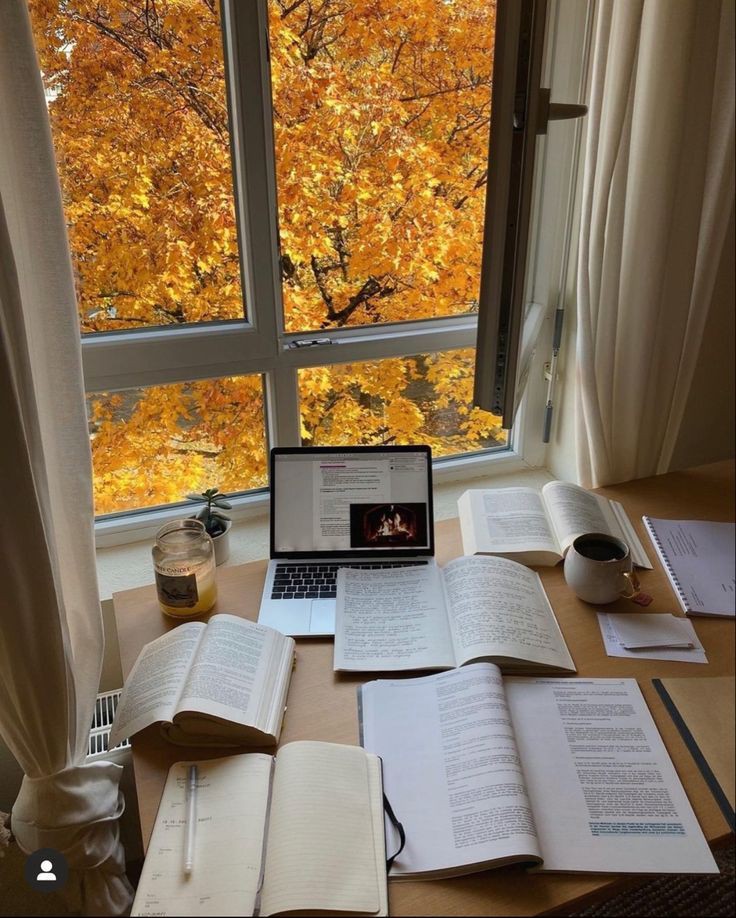 Study Vlog
