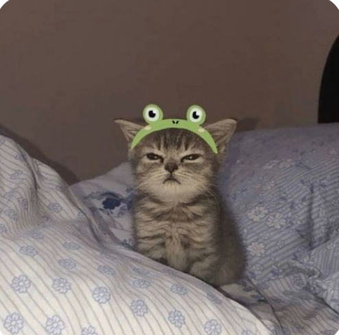 Sümeyye
