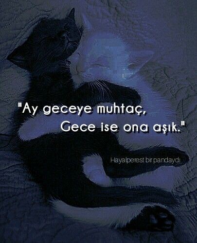 Gece mavisi🌃💫
