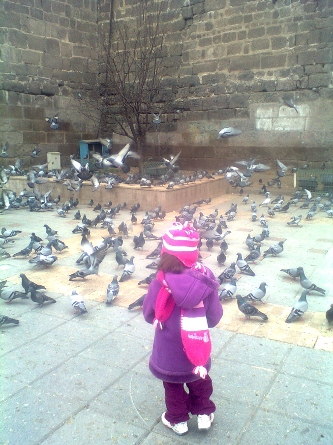 Helin Güneş