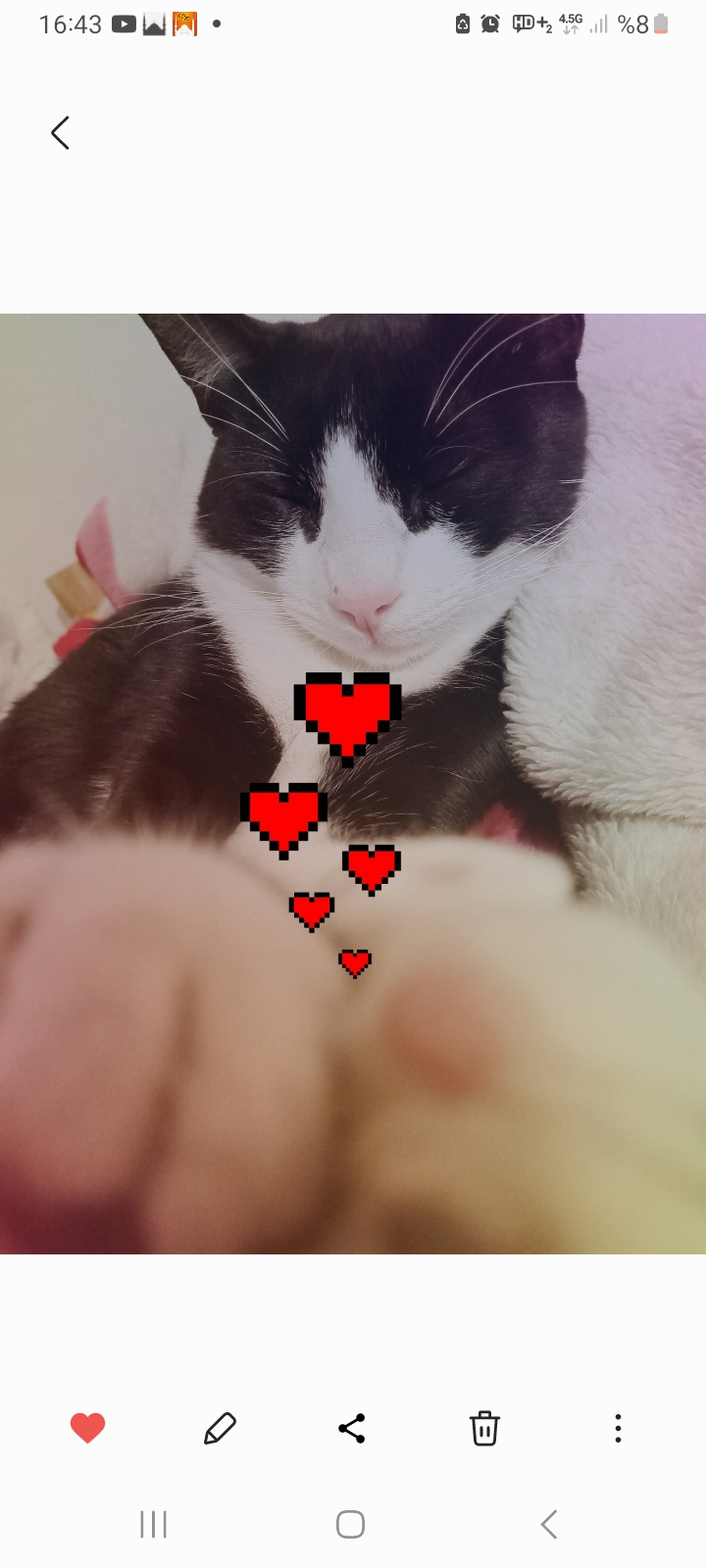 Zeyq_♡
