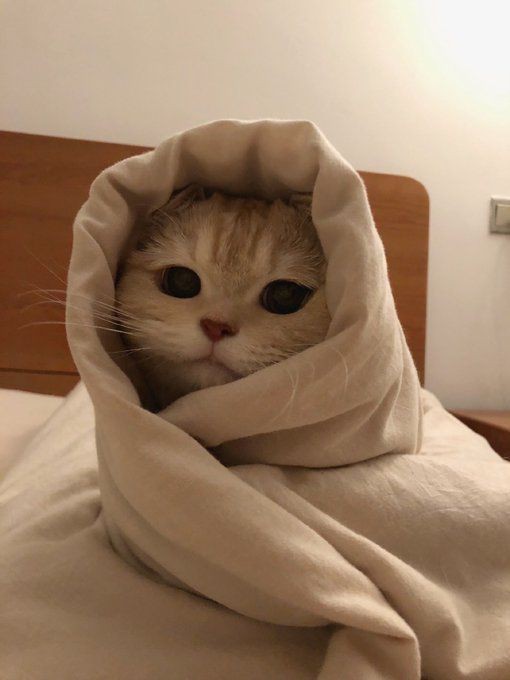Zeynep