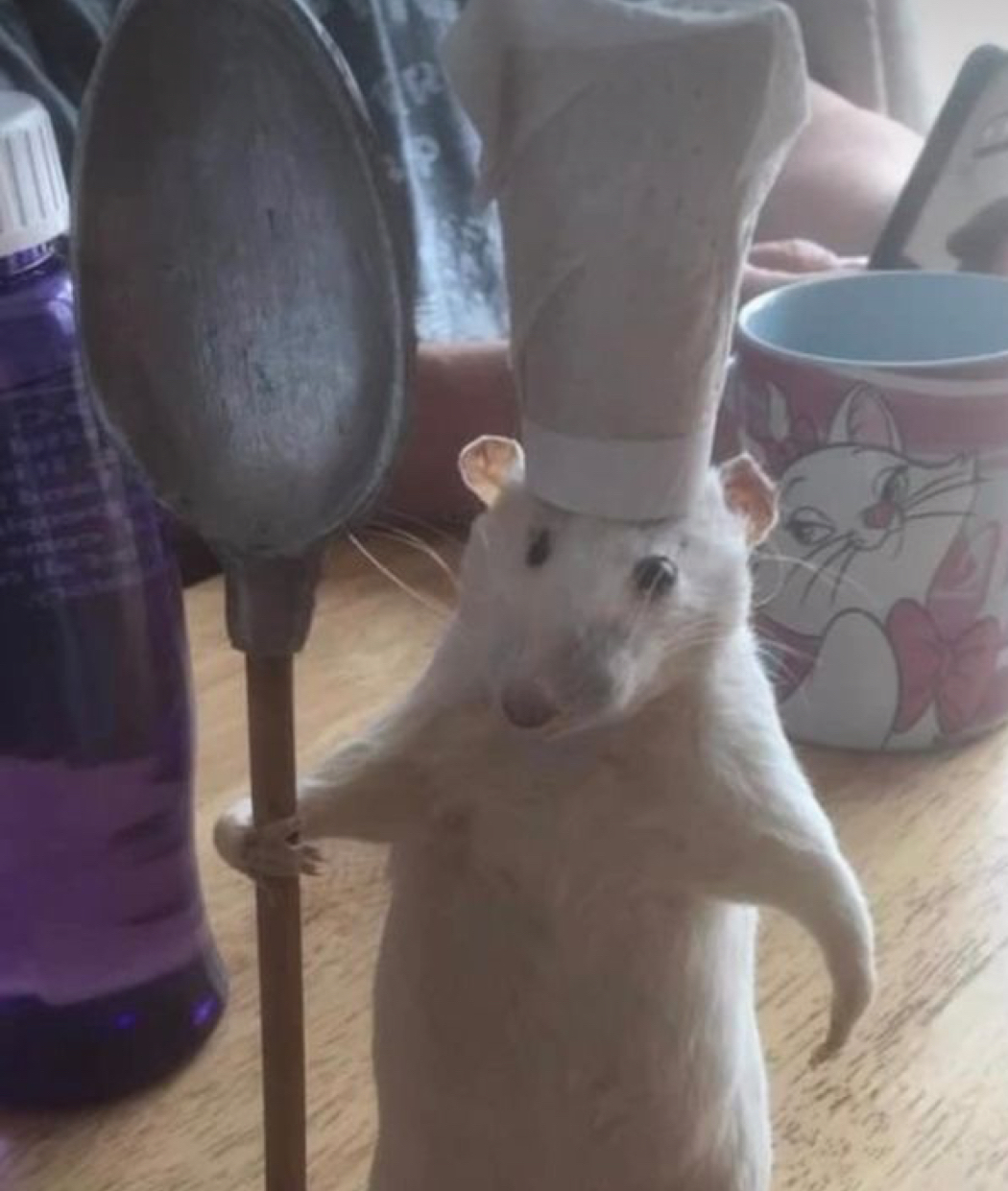 ~🐁Amelia🐁~