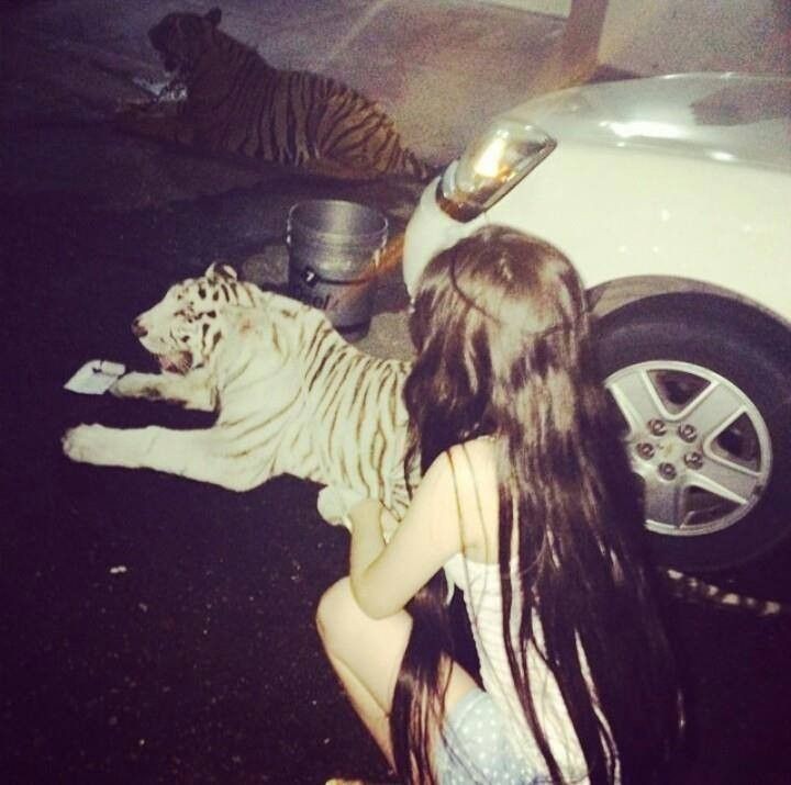 Serenaaa