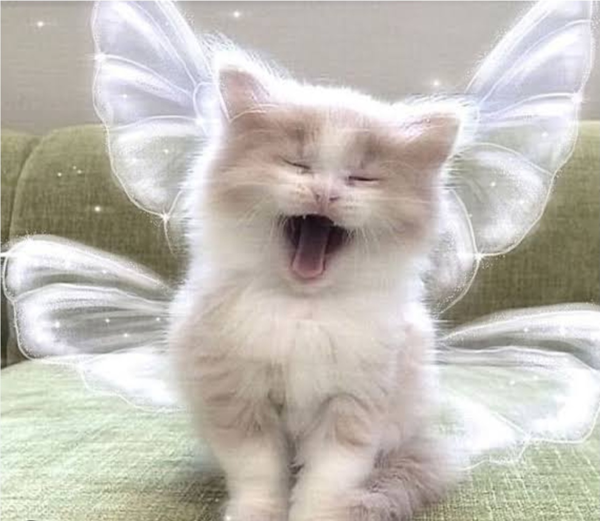 ☆Ezgi☆