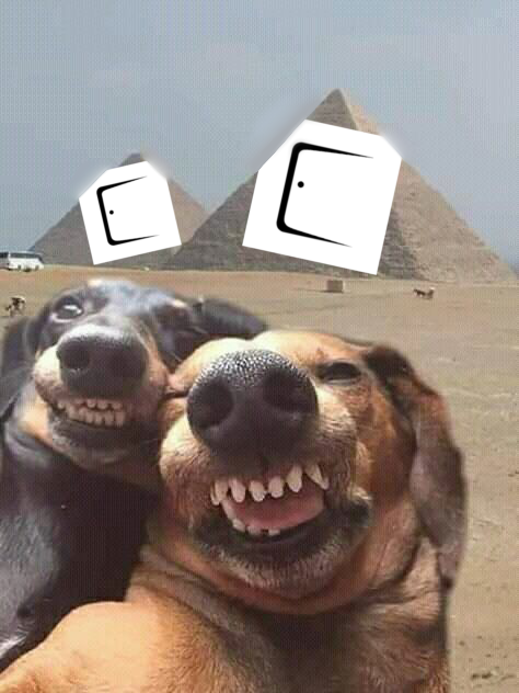 Çizginin köpeği