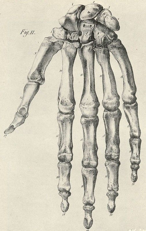 masyammasses