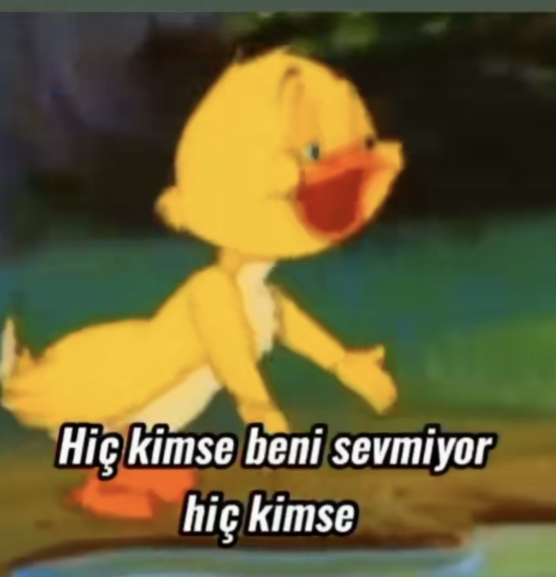 KİŞİ
