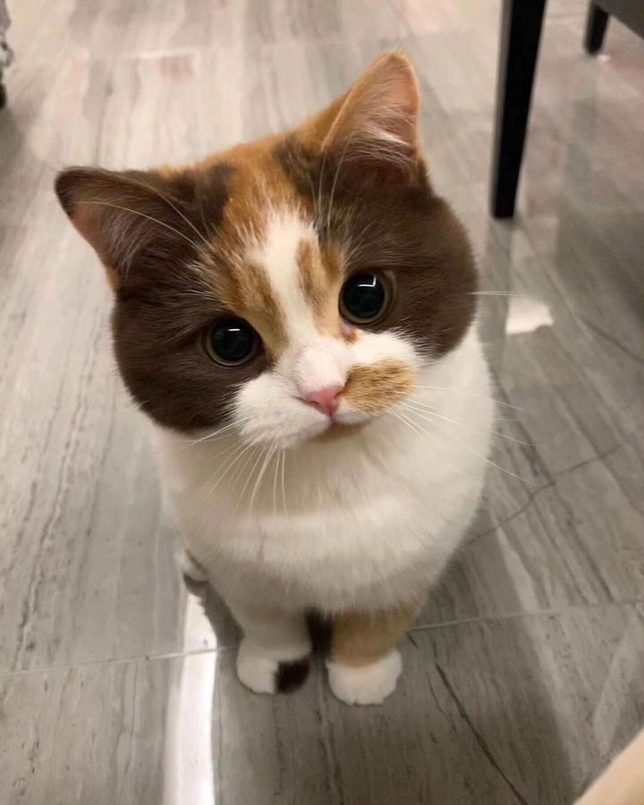 Emine_01