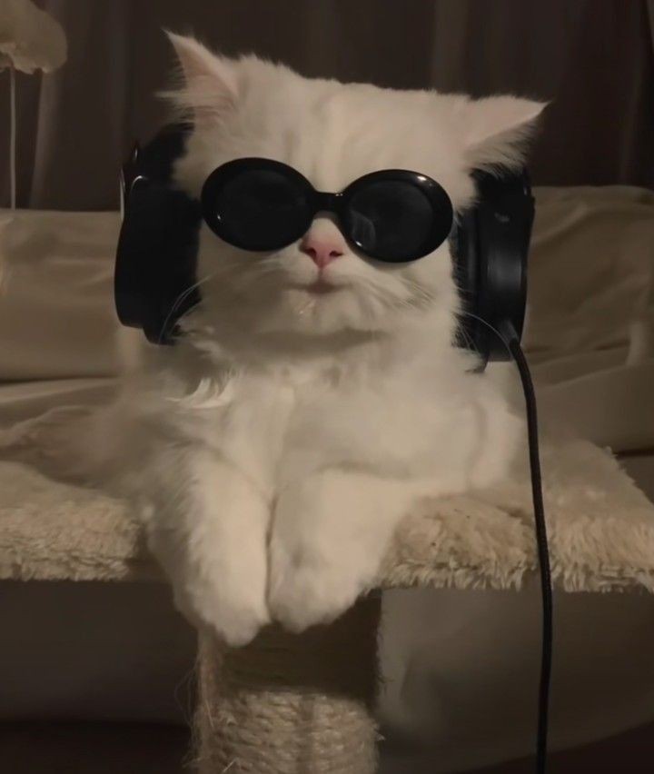 Melek