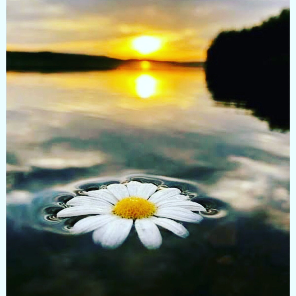 Zeyneptatlı
