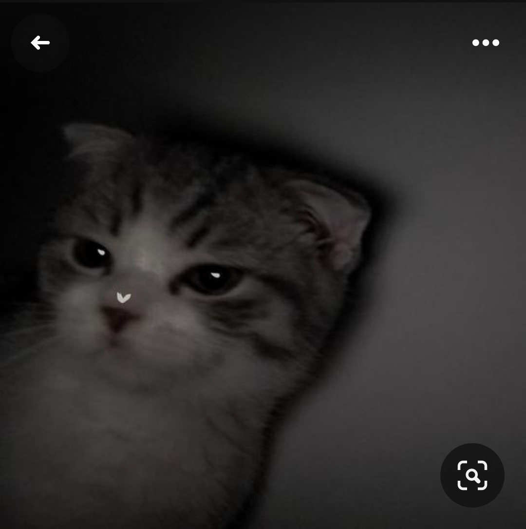 Kurbik