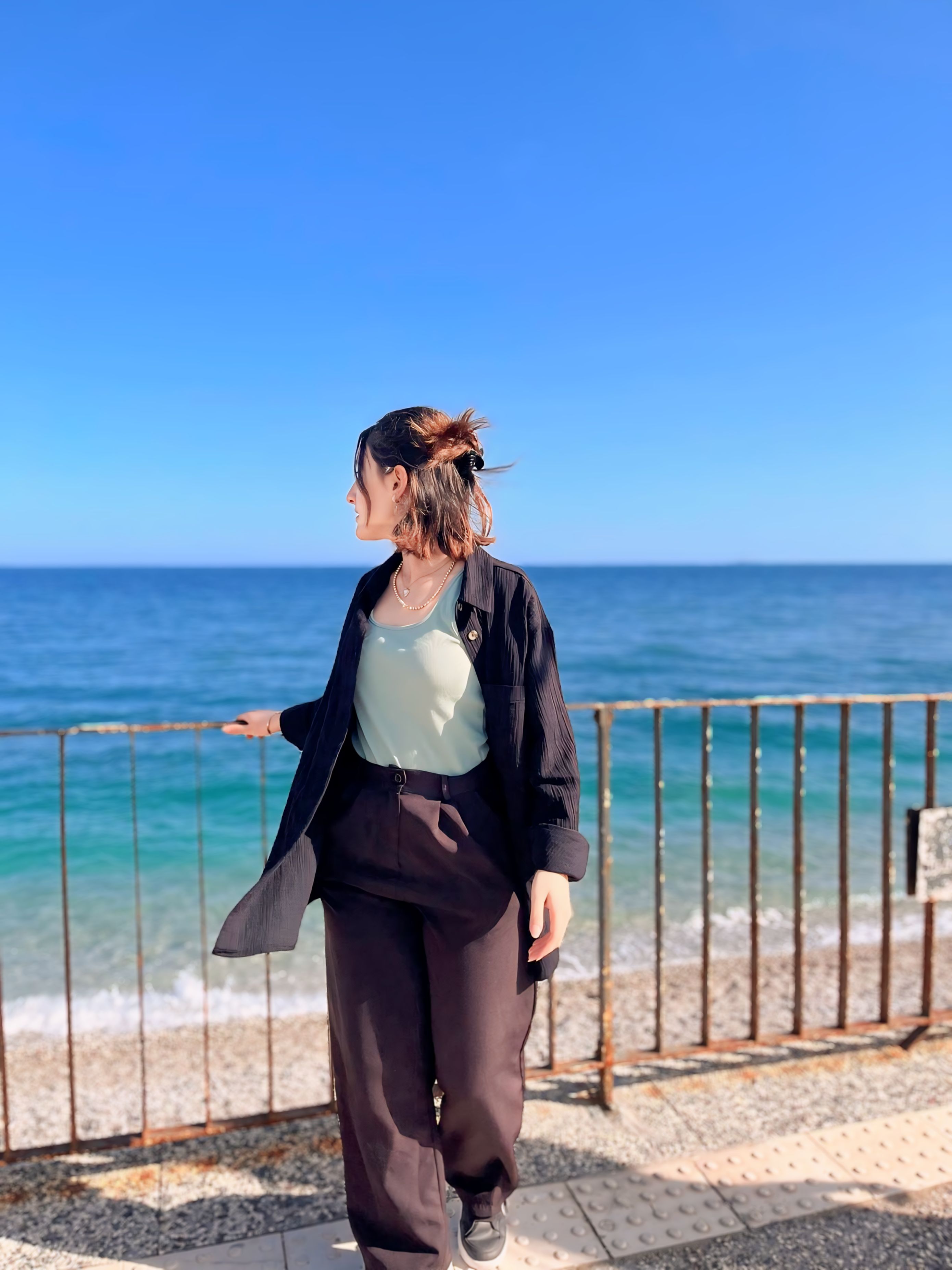 Erva demir