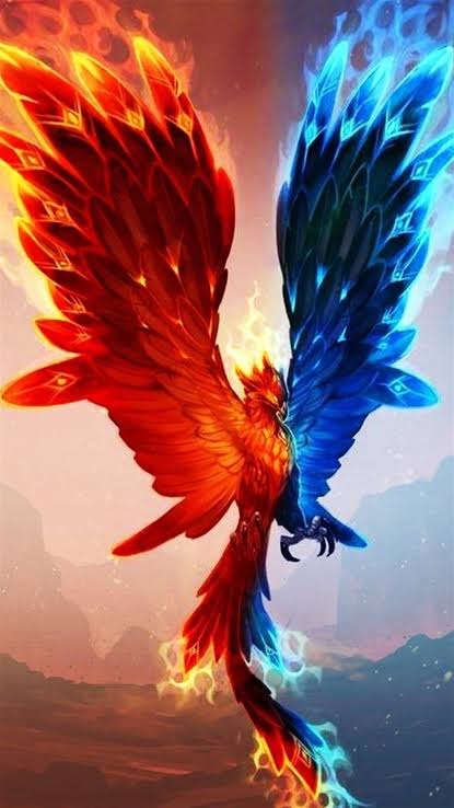 Osman_52