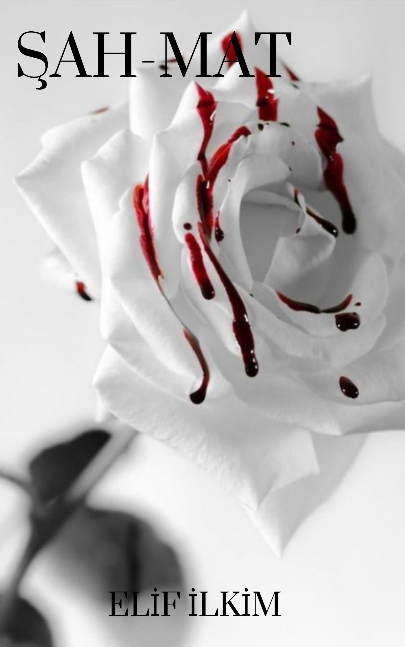 elif ilkim