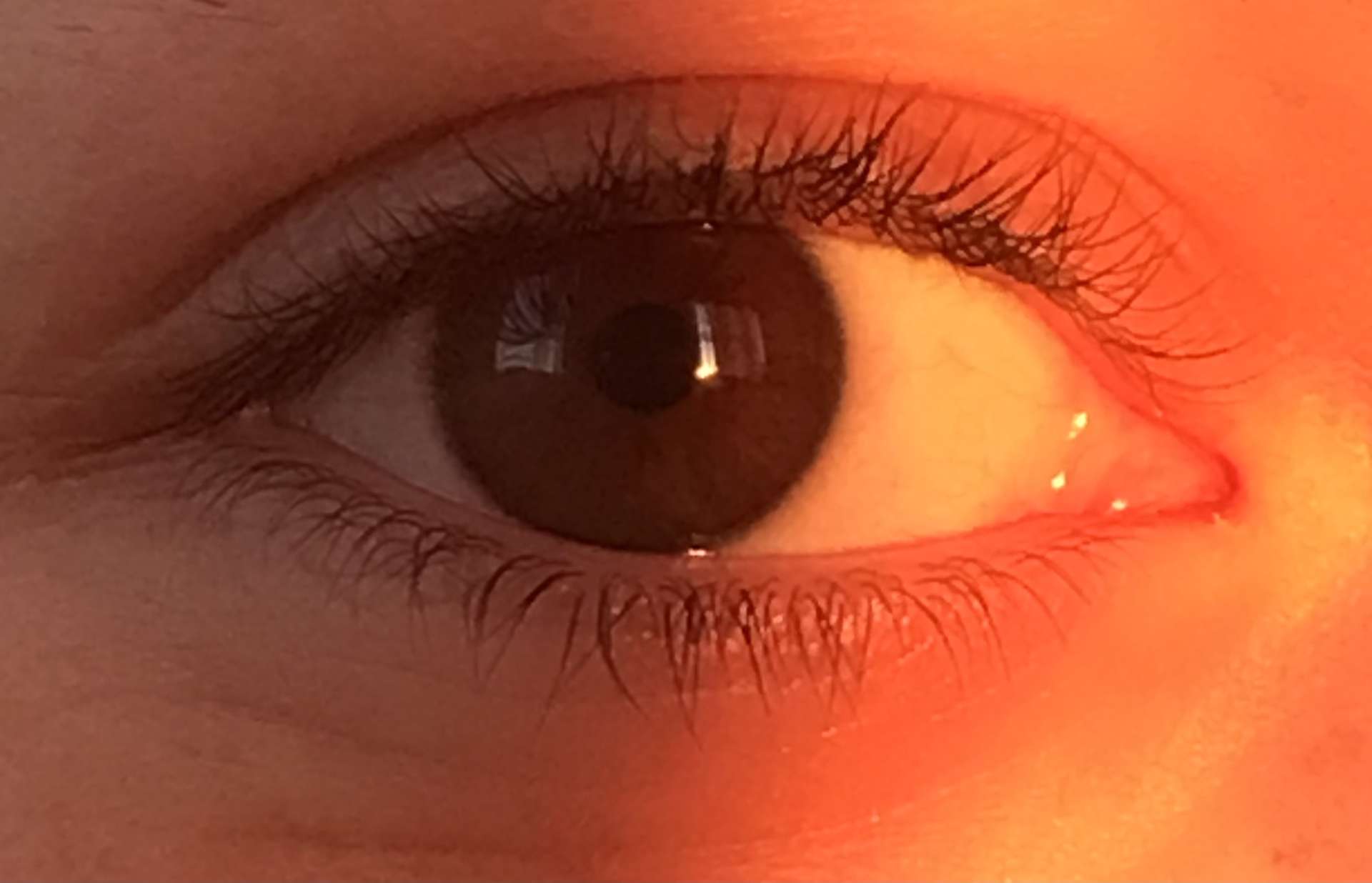 🖤