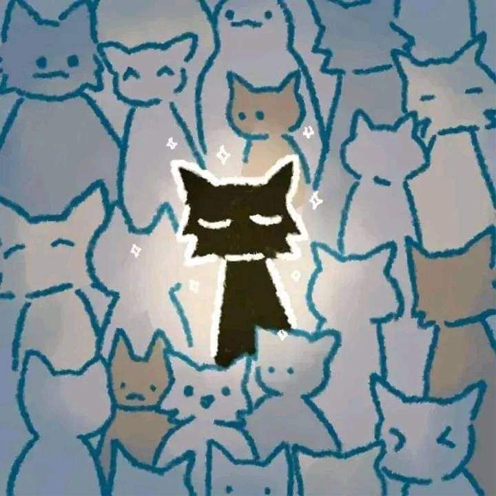 Kitty_cat⁓♪