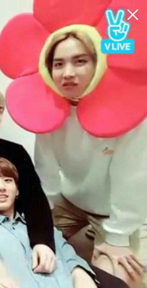 Kim Jungkook