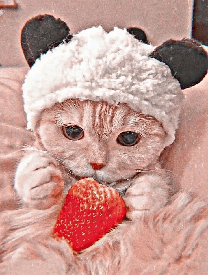 okur_♡Yazar