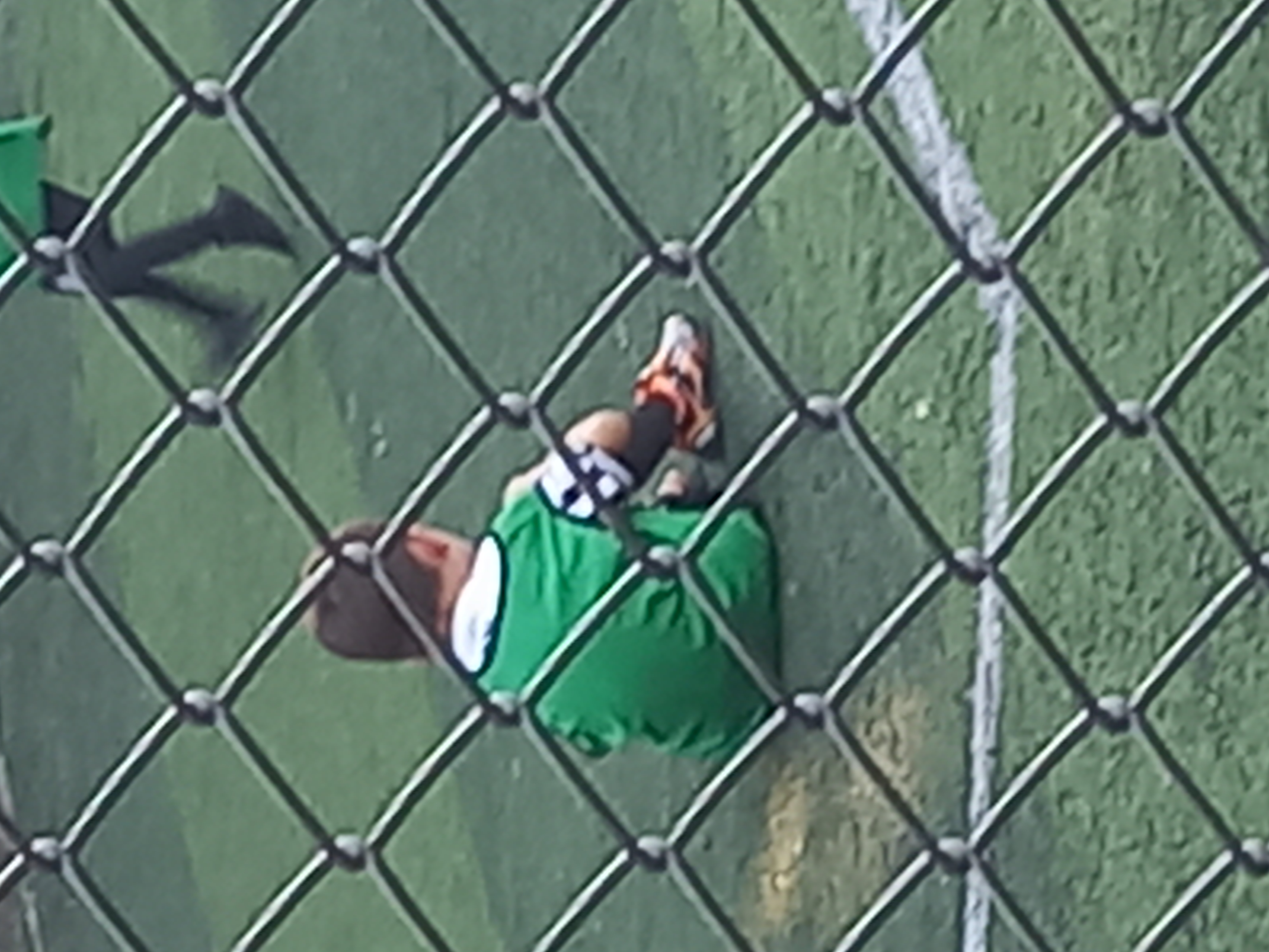 Nova El