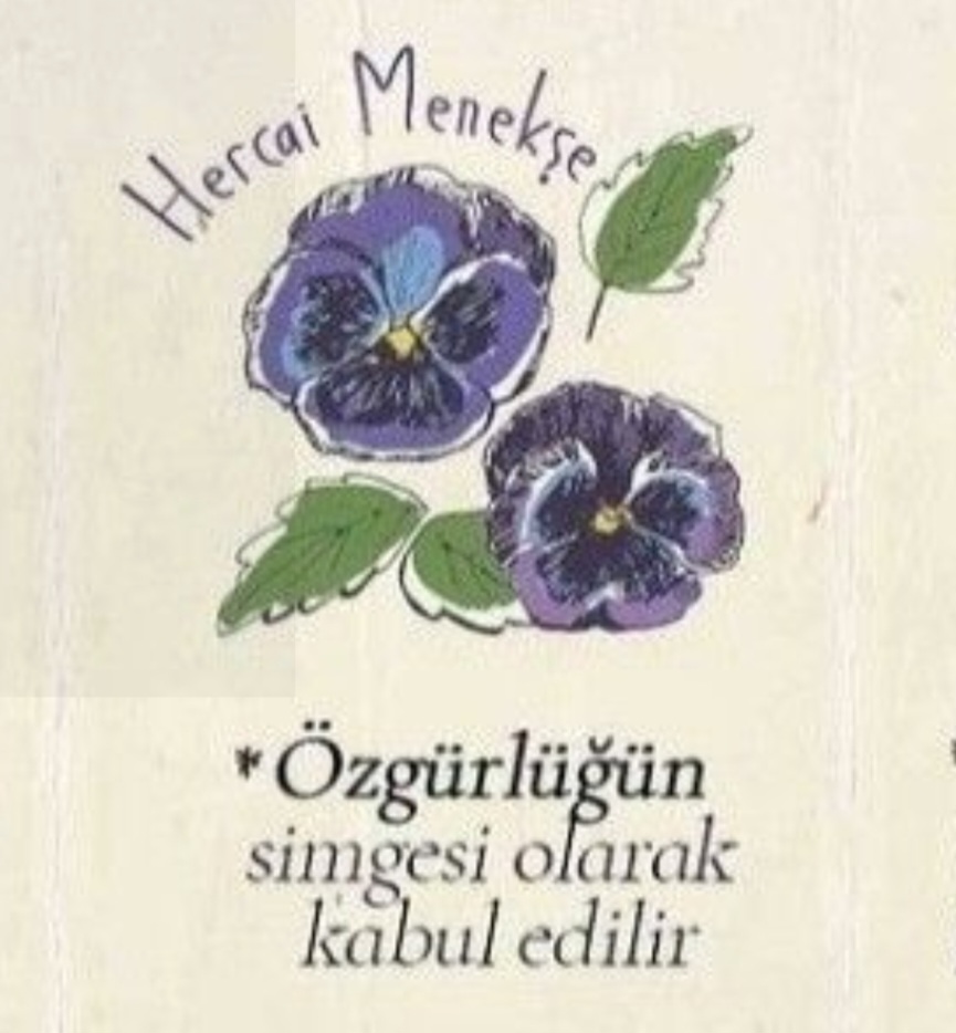 Gülce