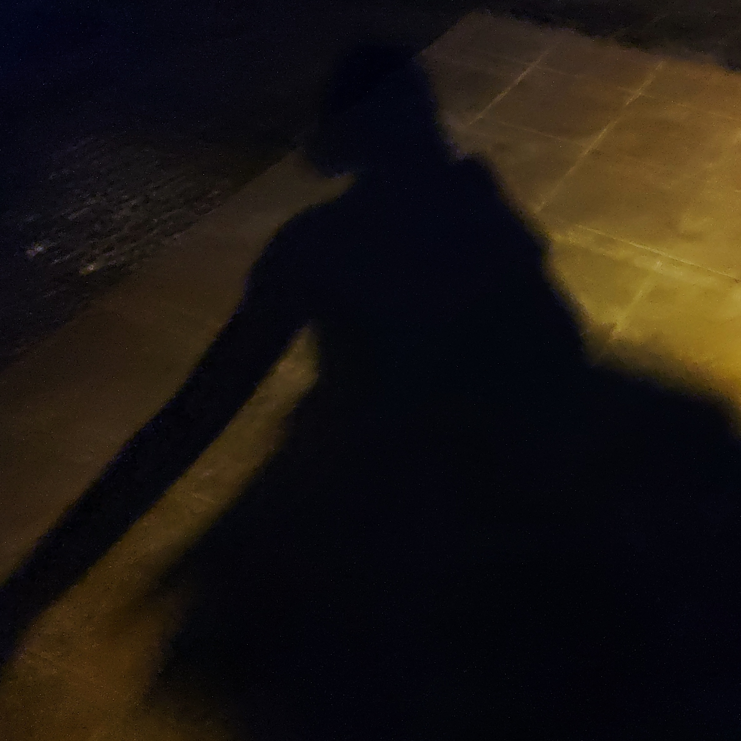 moon shadows