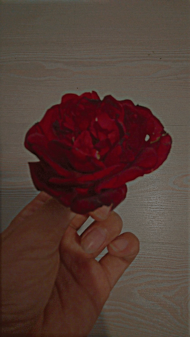 Elif