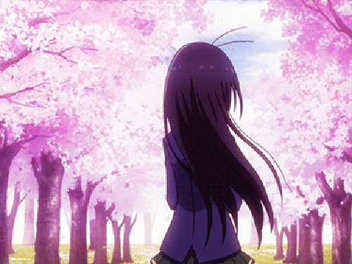 ✩