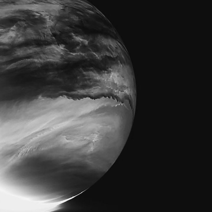 Umaayy