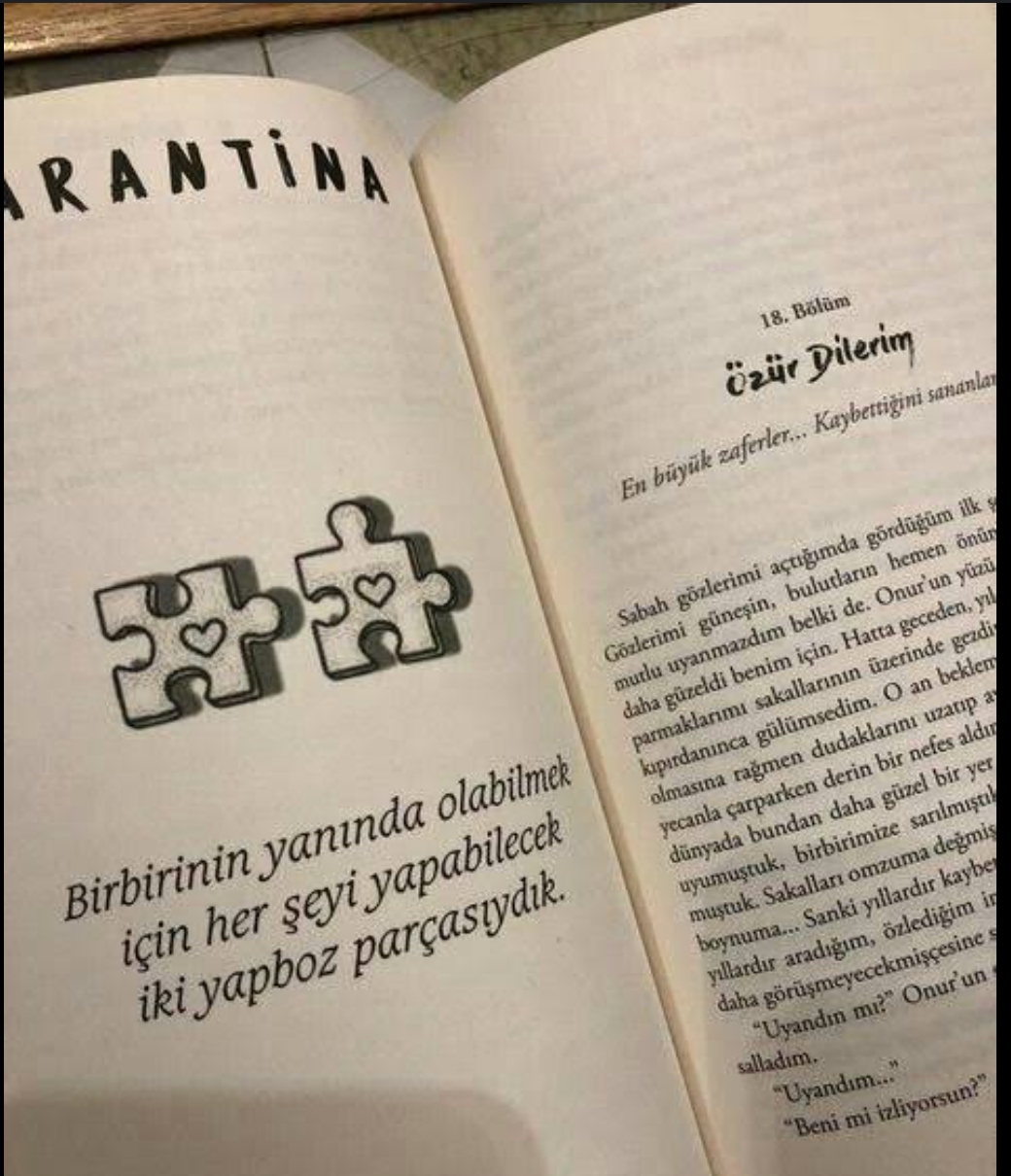 Gözde Erdem