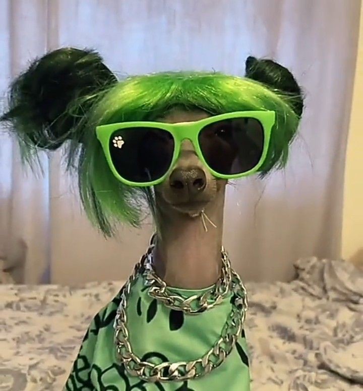 Ela Nur