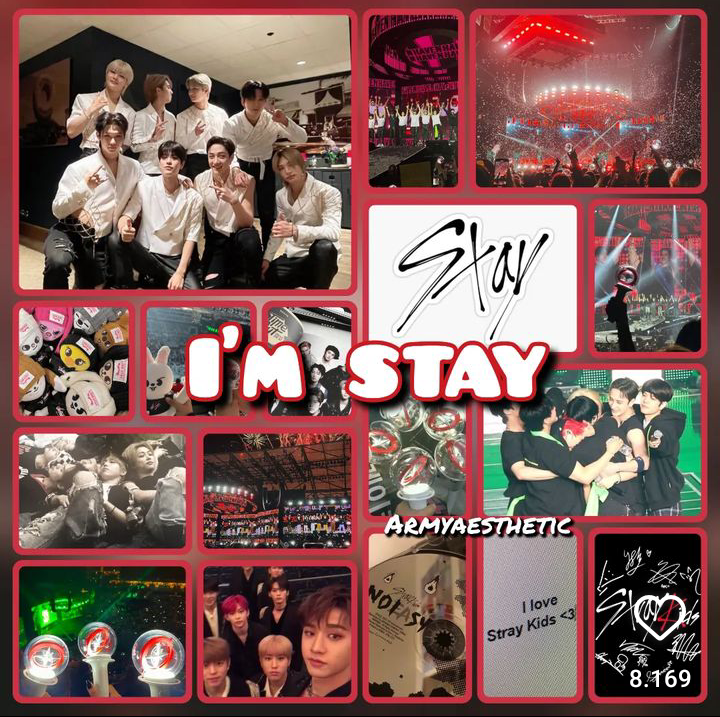 skz888korean
