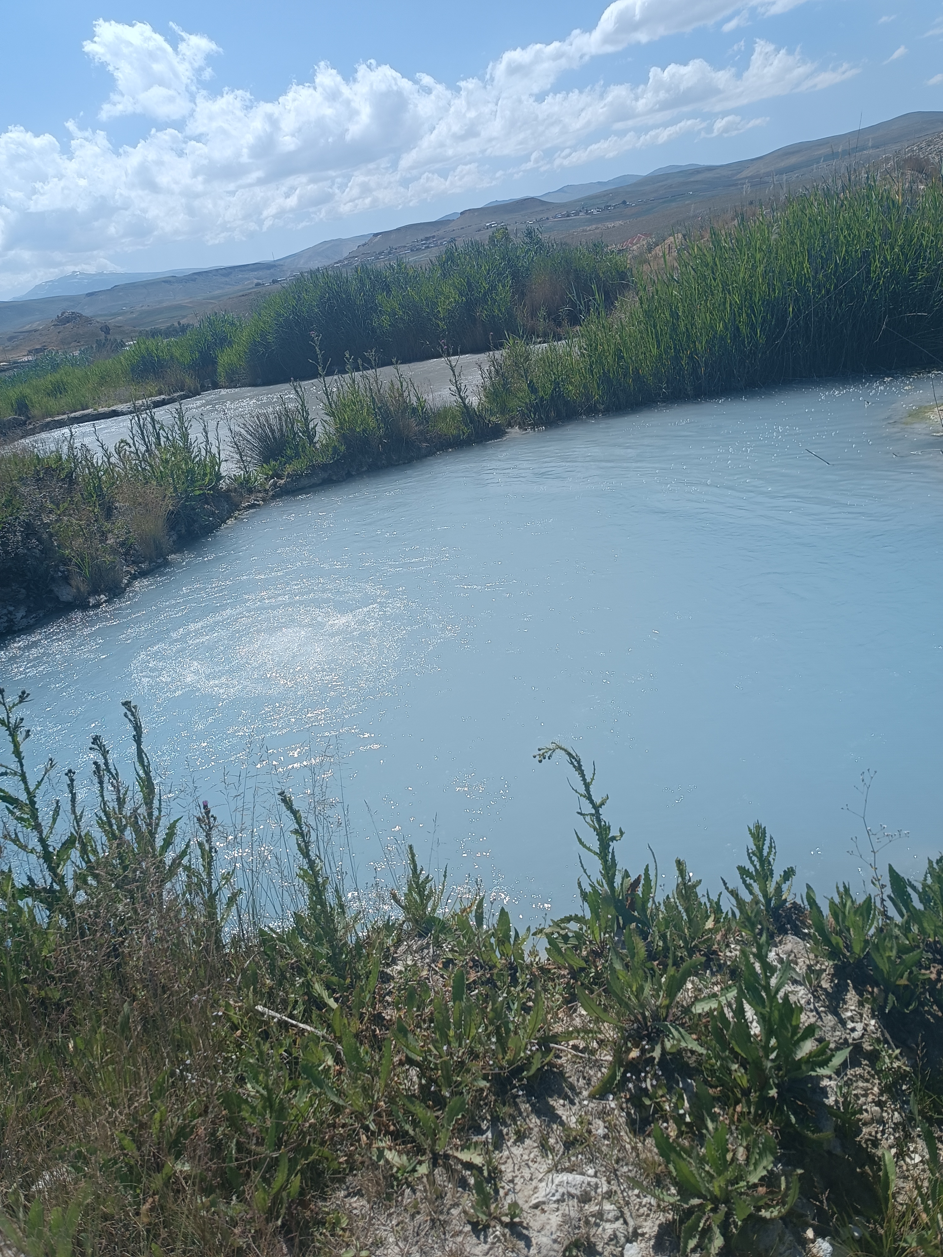 İdal aydın