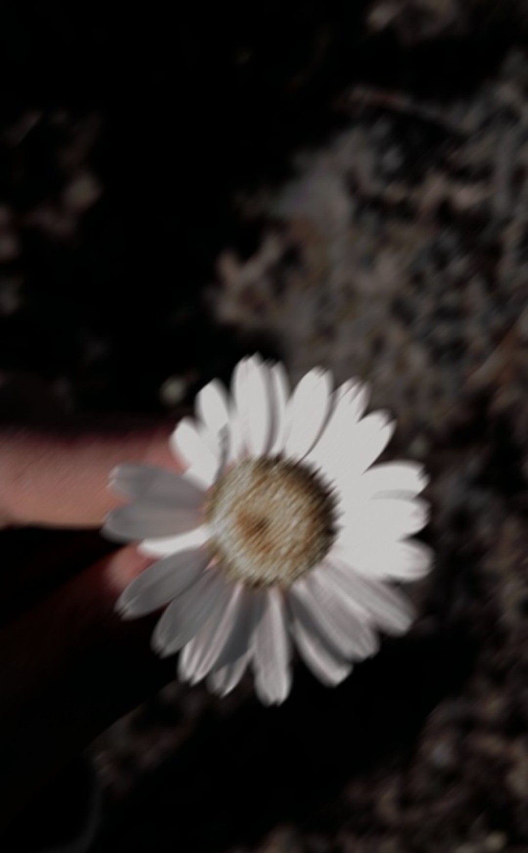 Nil