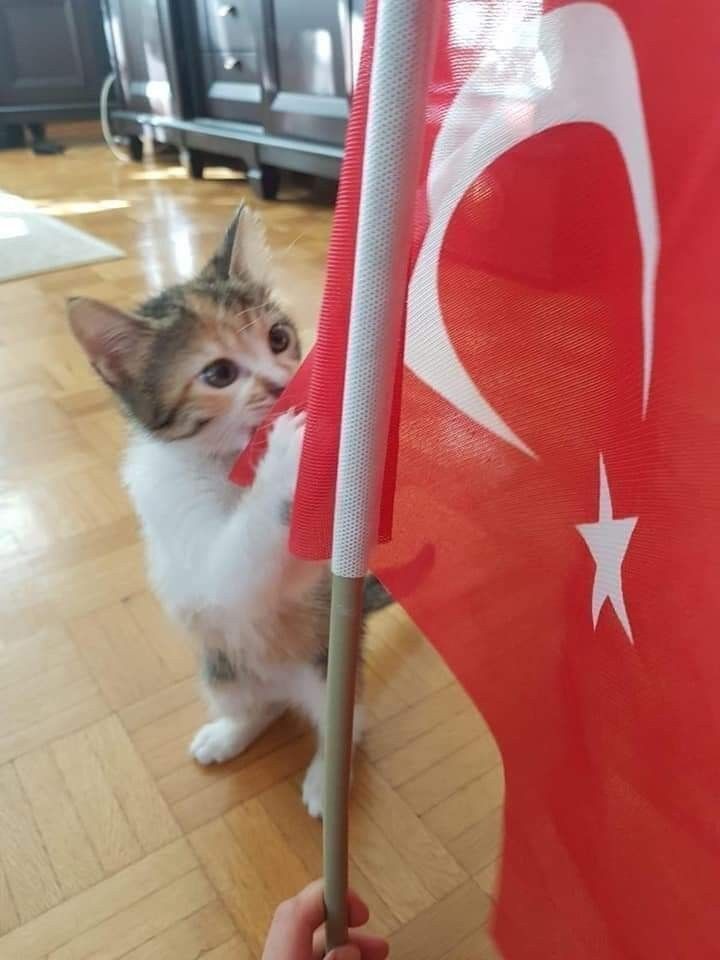 Beyza