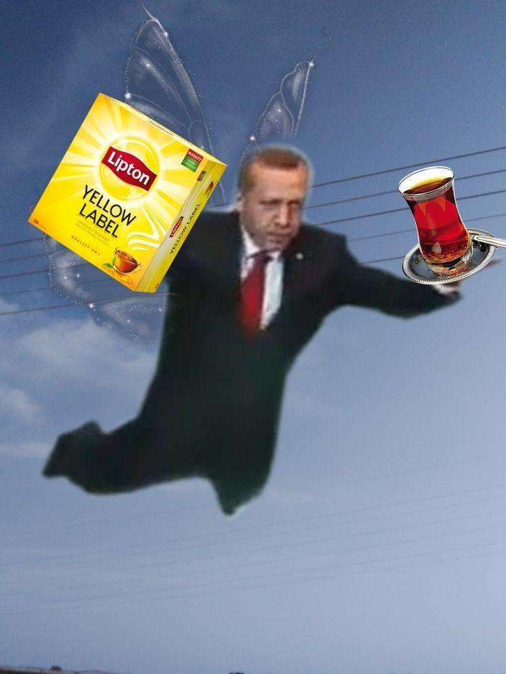 Ege