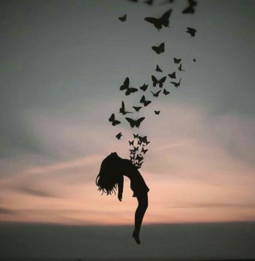 Gece Kuşu