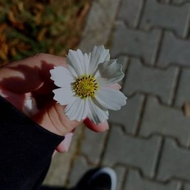 Ayşegül